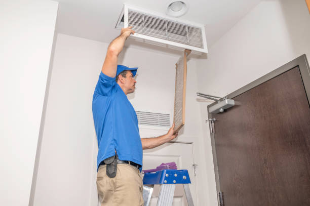 Best Professional Duct Cleaning Services  in Dixon, KY